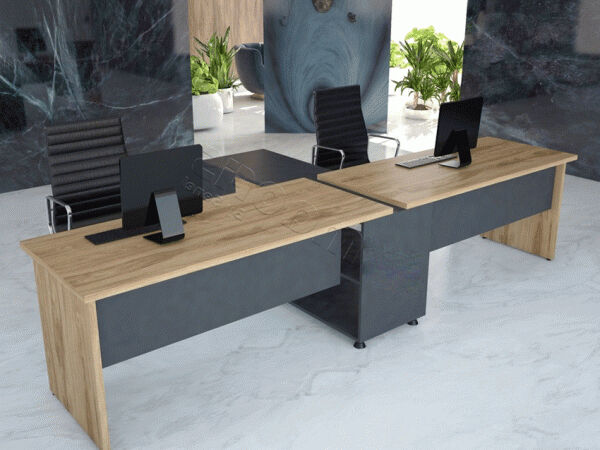 ARMA İKİLİ WORKSTATION