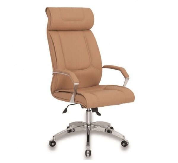 ALEYNA MAKAM KOLTUĞU