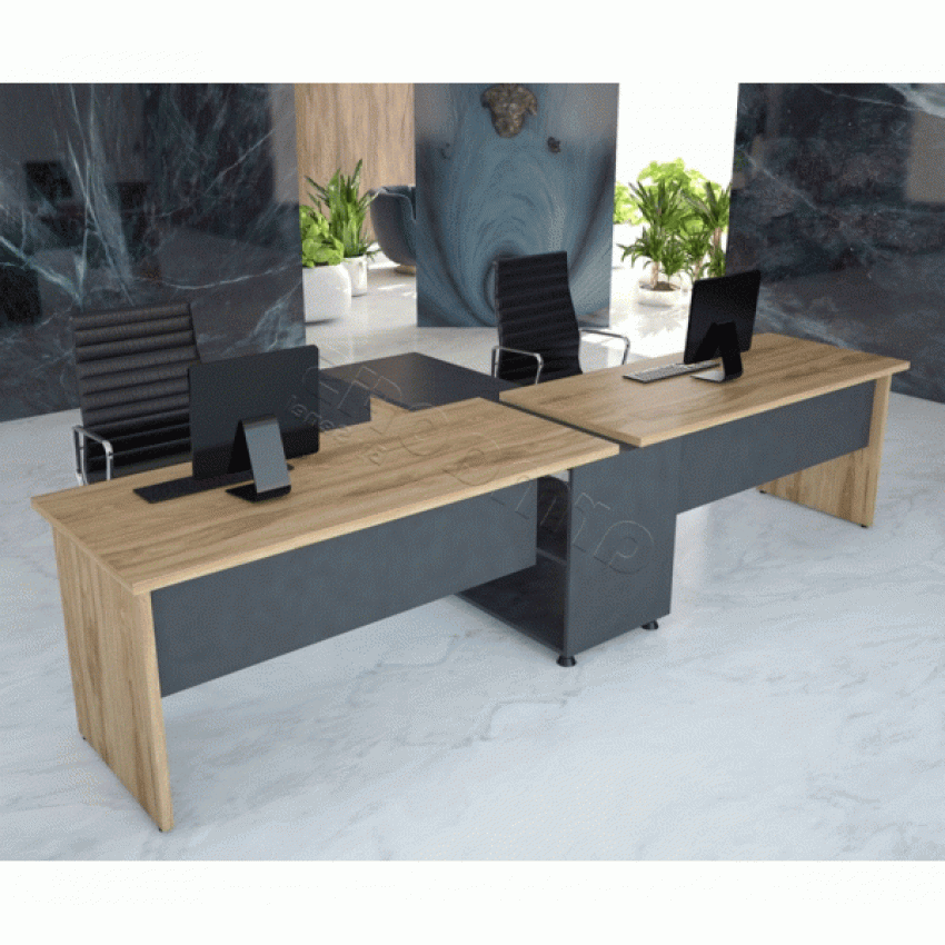 ARMA İKİLİ WORKSTATION 