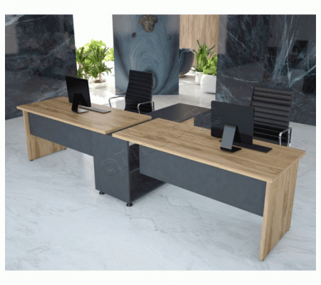 ARMA İKİLİ WORKSTATION 