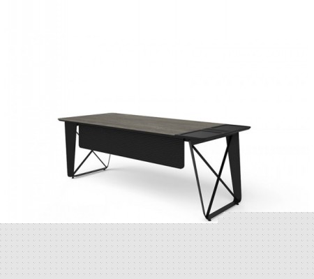 ALPİ X YÖNETİCİ TAKIMI