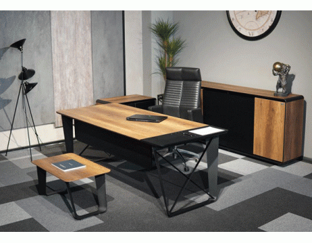 ALPİ X YÖNETİCİ TAKIMI