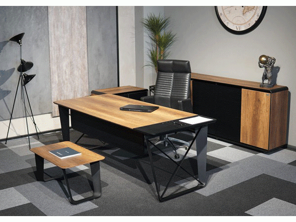 ALPİ X YÖNETİCİ TAKIMI