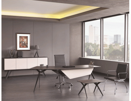 EAGLE YÖNETİCİ TAKIMI