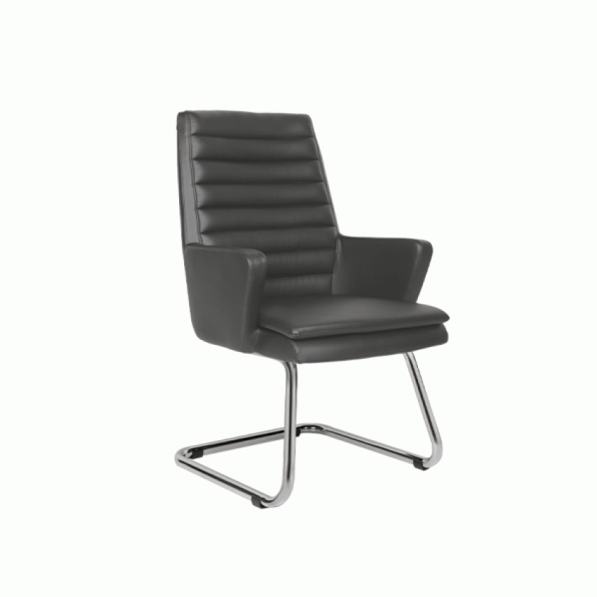 ALVİS MİSAFİR KOLTUĞU