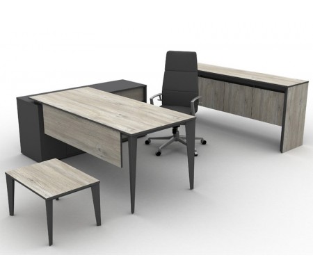 EXEN ETEJERLİ MÜDÜR TAKIMI